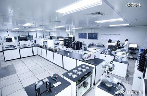 博瑞迪完成2.5億元B輪融資，專注生物育種技術(shù)服務(wù)，引領(lǐng)農(nóng)業(yè)科技新浪潮