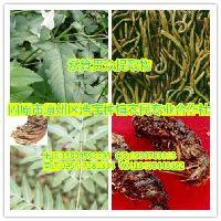陜西大田生物 專注高品質秋水仙堿提取物，廠家直銷，全國包郵