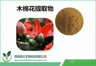 木棉花與瓊枝提取物市場(chǎng)價(jià)格解析及工廠專(zhuān)業(yè)品質(zhì)保障